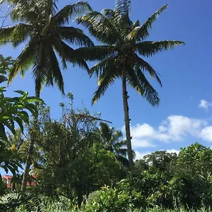 Appartement En Pleine Verdure Tropicale -10 Min, Le Morne-Rouge